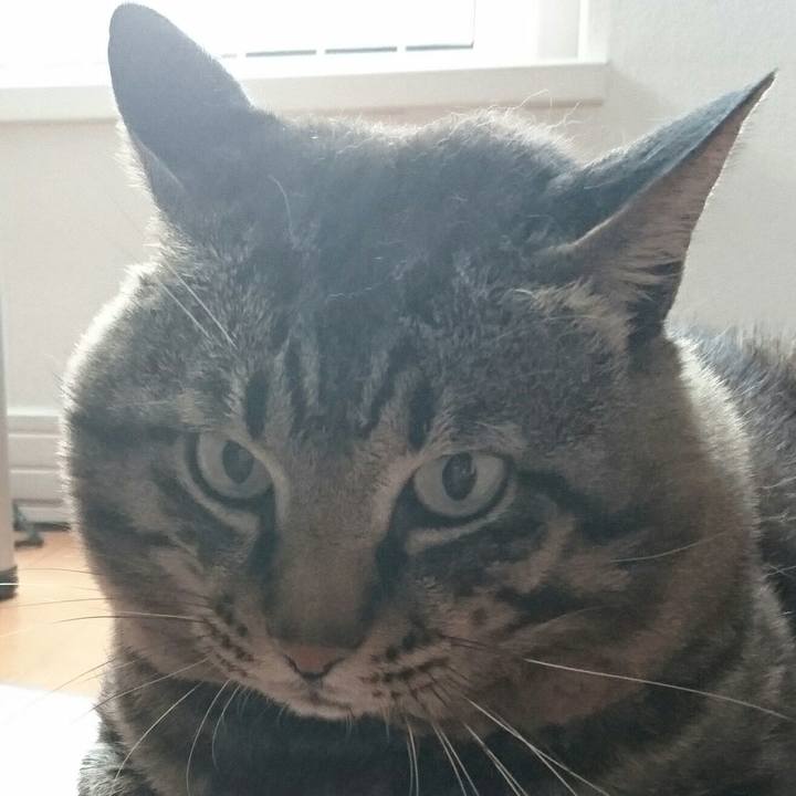 2af34248 926b 4783 b147 7708922568b1