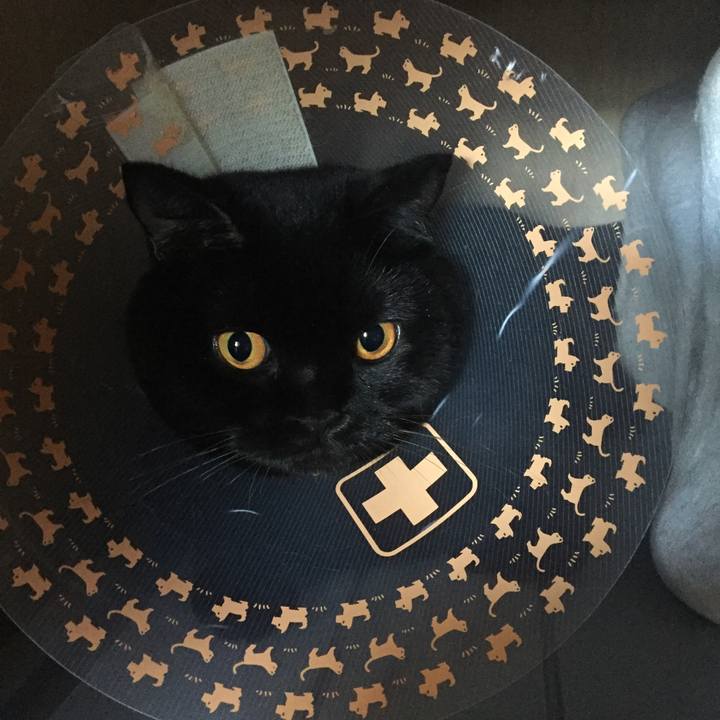 2af3a1df 6ce3 4a59 996f 7938dcbc015d