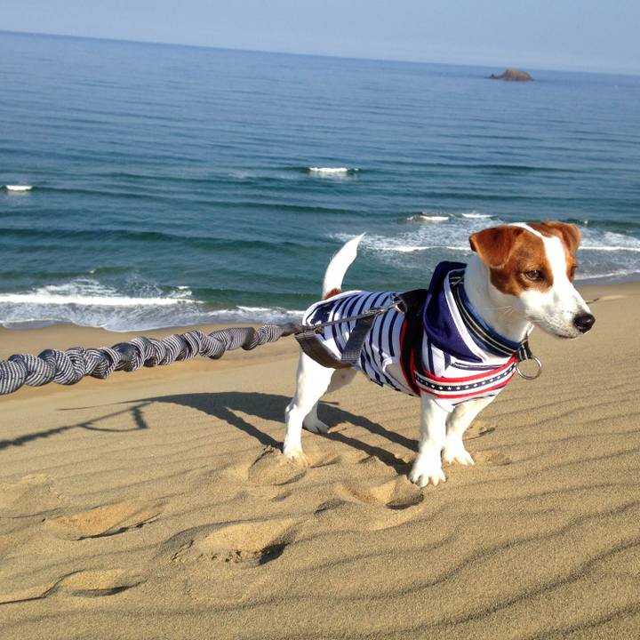 2af4eff5 1417 49c9 9fea 573870ce5320