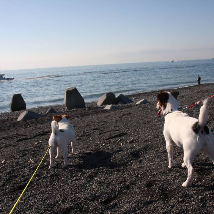 2af4fae1 5d17 4a49 8d88 b2193fe1a7b6