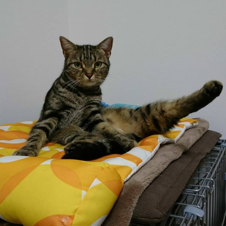 2af50768 45b0 428b b7d3 b743353e1ef9