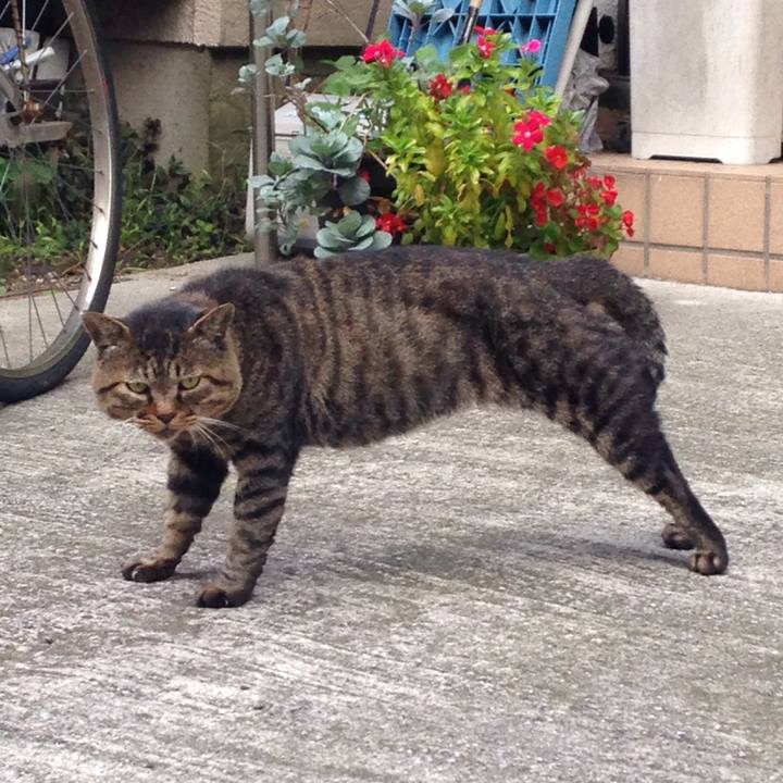 2af53ed4 9336 488a a8cd 559cfefc1d77