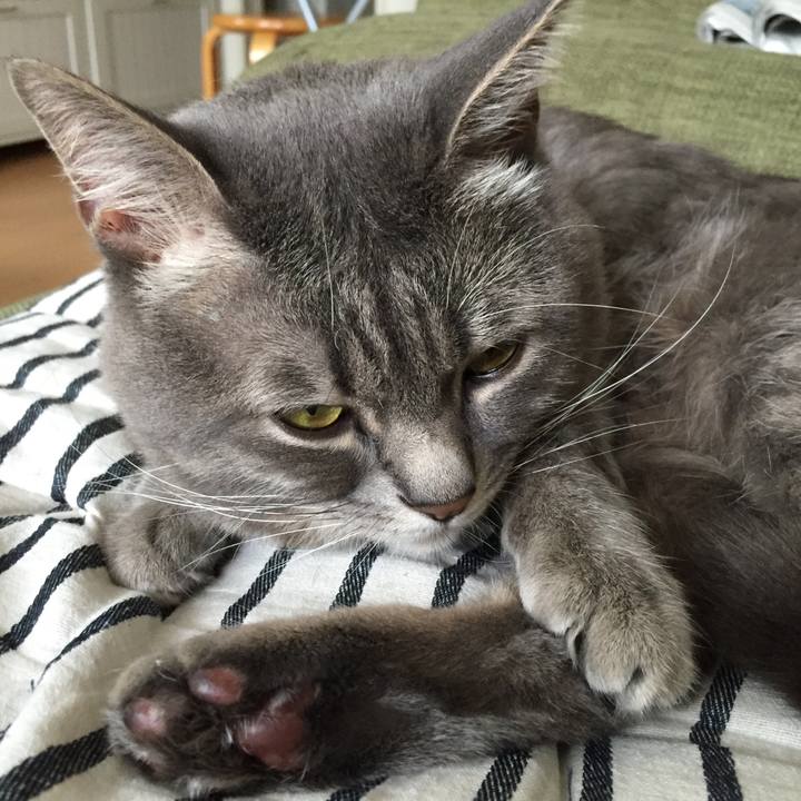 2af5e2d7 352c 48f2 9bed b66943888fa1