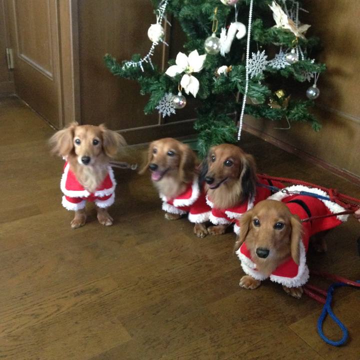 2af644b4 cf6b 4f68 9fa1 d6bd5851dc0a