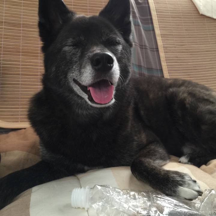 2af6b188 945f 411a a6d6 8c4e6c65cea4