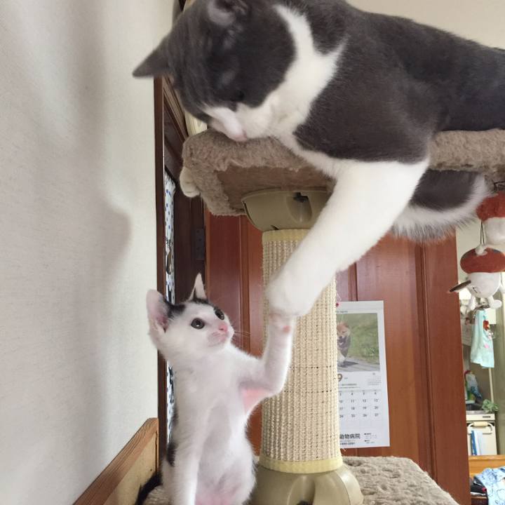 2af6b9d1 b91c 4e8c 9371 09e8562a5f74