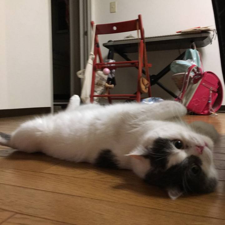 2af6d5c9 a913 4438 8944 9da8e1490c83