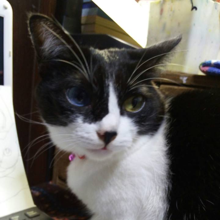 2af7fe51 446d 4280 9263 e07663381b0a