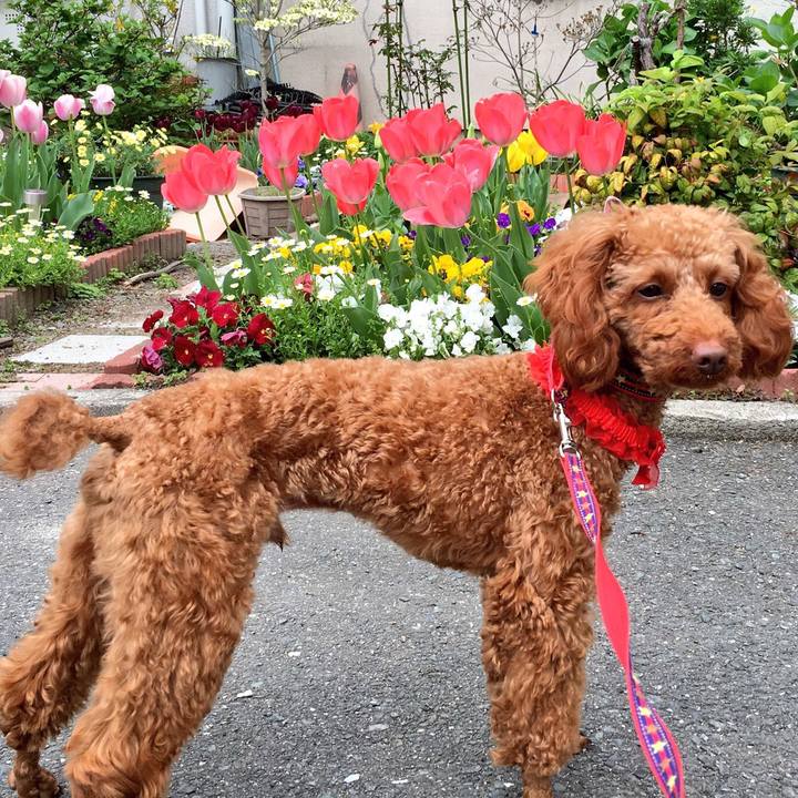 2af810f6 1896 4ace 8be4 693dc505d01b