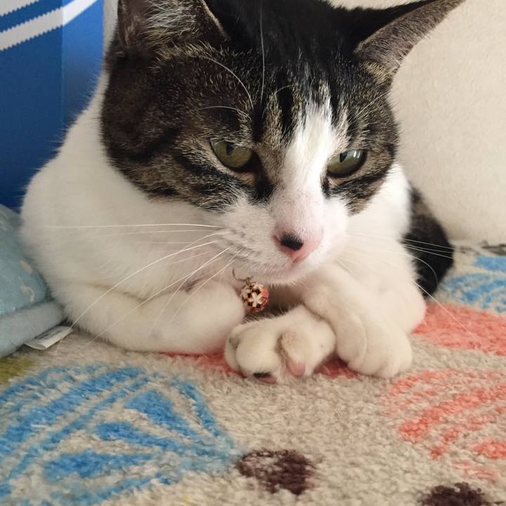 2af837f3 ce21 4dbc 83b1 8cac54e89d60