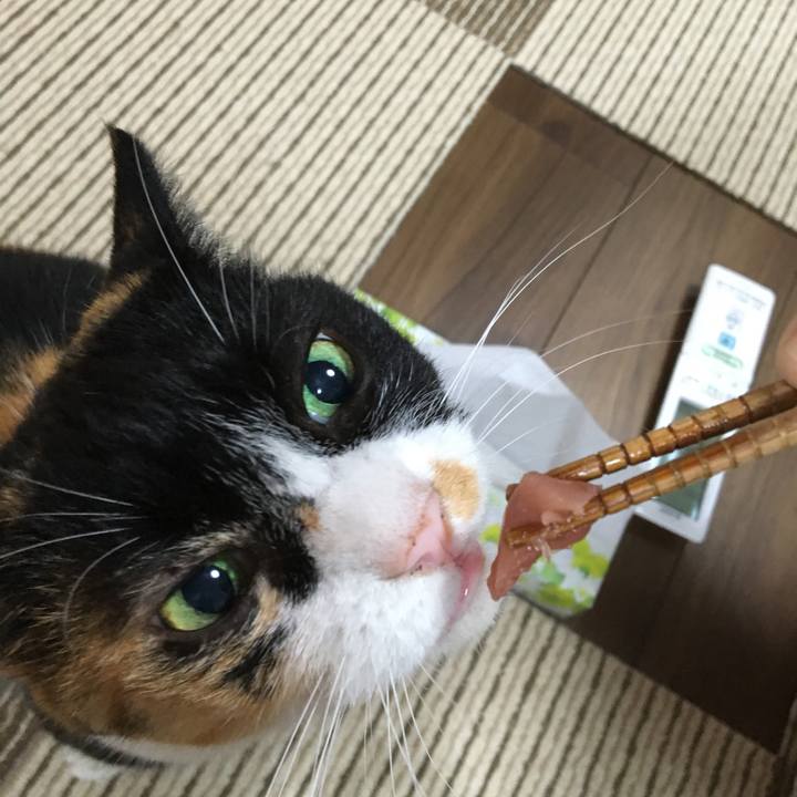 2af843f4 ed39 4ab9 8687 1755495d0a08