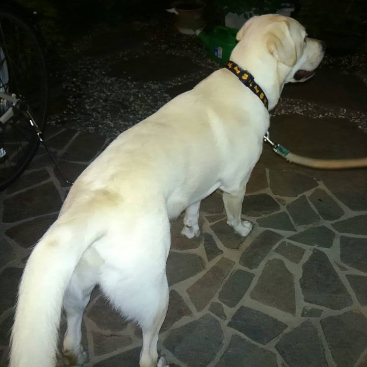 2af86465 9b49 4def 93af 8cfefe5ef55e