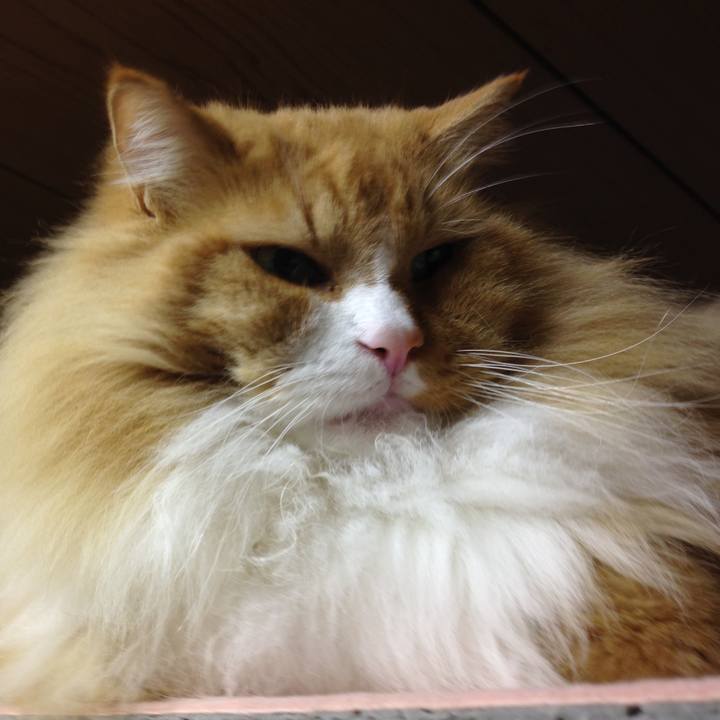 2af9724a d030 4692 93d2 e0fffd6be72f