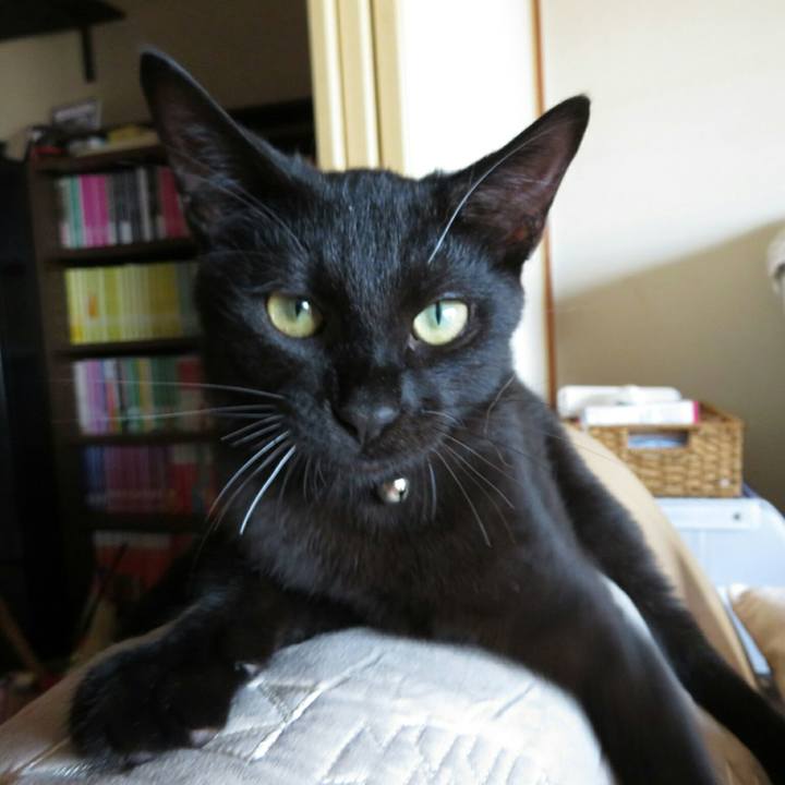 2af9c61f 028e 4d00 8ea7 c764bbf5f805