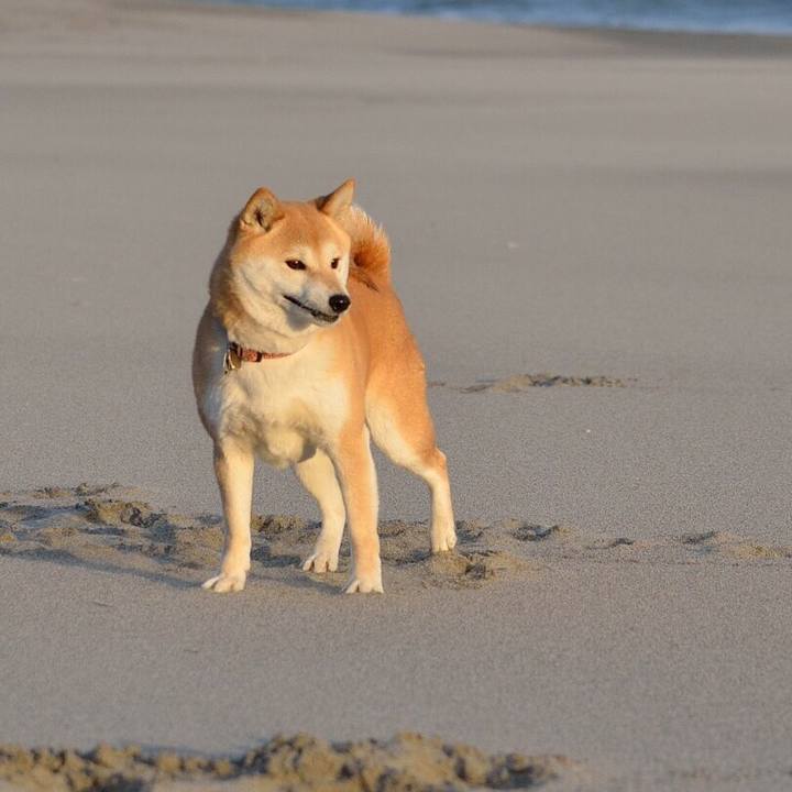 2afb0049 9813 4e21 bffa 590235950de2