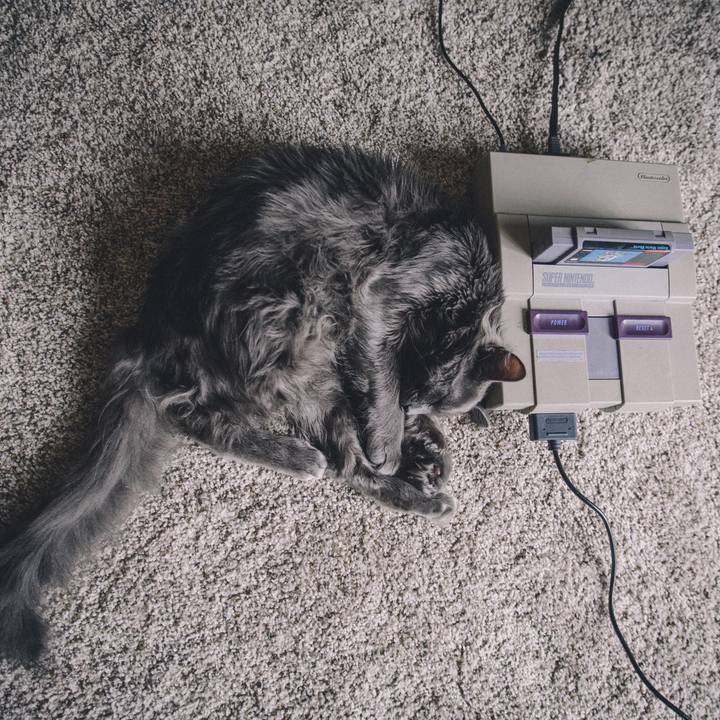 2afb41fb ed0f 44cf a783 0b475ff26f88