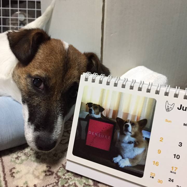 2afb5498 27c4 411d 861a e3149e7e29d7