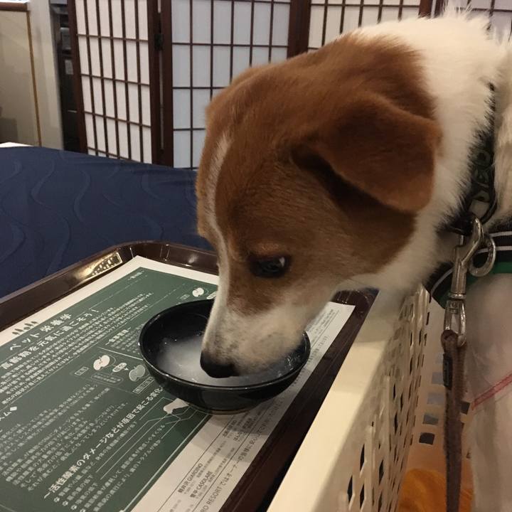 2afb54a7 590b 4677 a17c 4ddb08f3b0f9