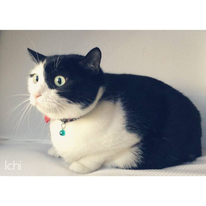 2afb8ada ada6 4fa1 bc90 60f660af911c