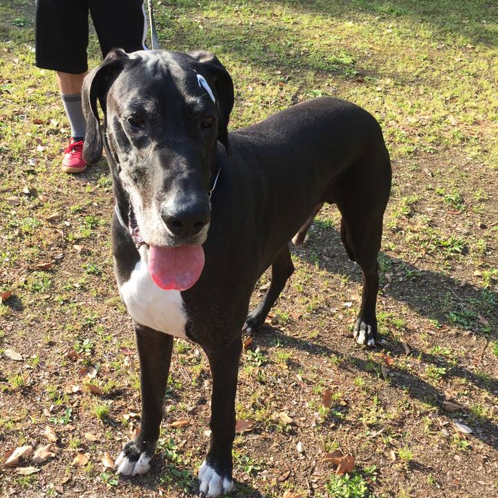 2afbc538 be99 4de4 b01e d68eafbd482f