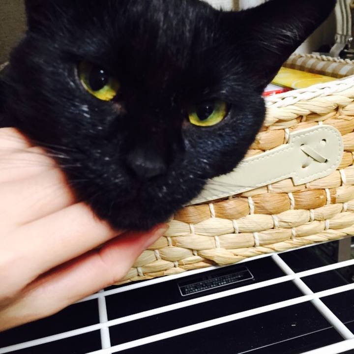 2afcedbd ff00 430b 8bb5 cf5ae82ea50a