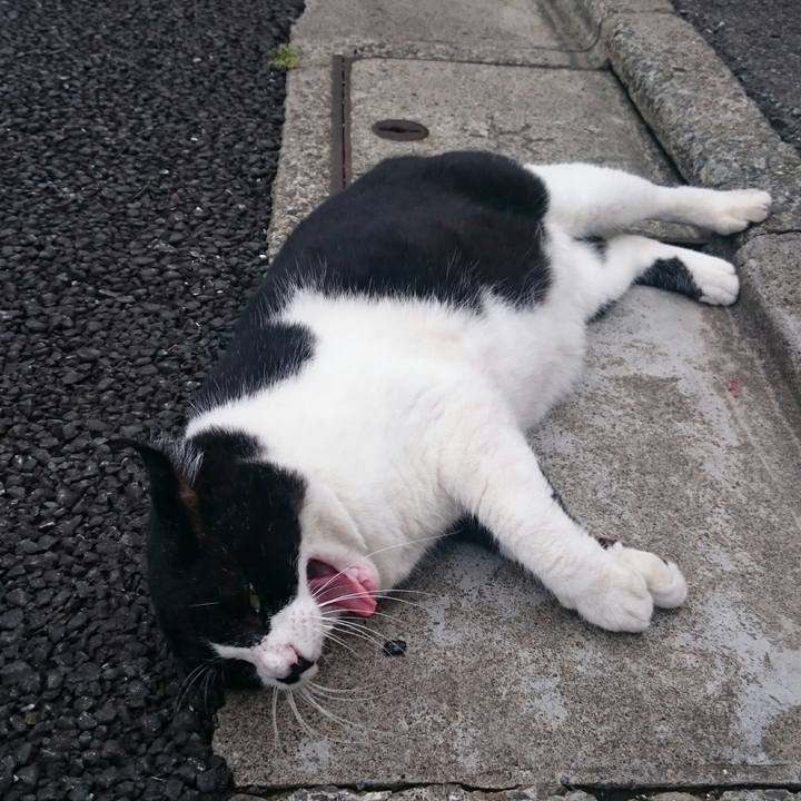 2afd1798 a4db 47ba bd5e 40b677635a4d