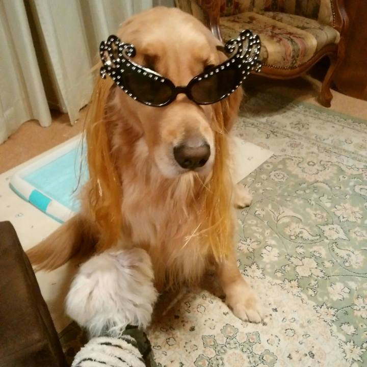 2afd7207 fefe 4876 95d1 2673bfd17339