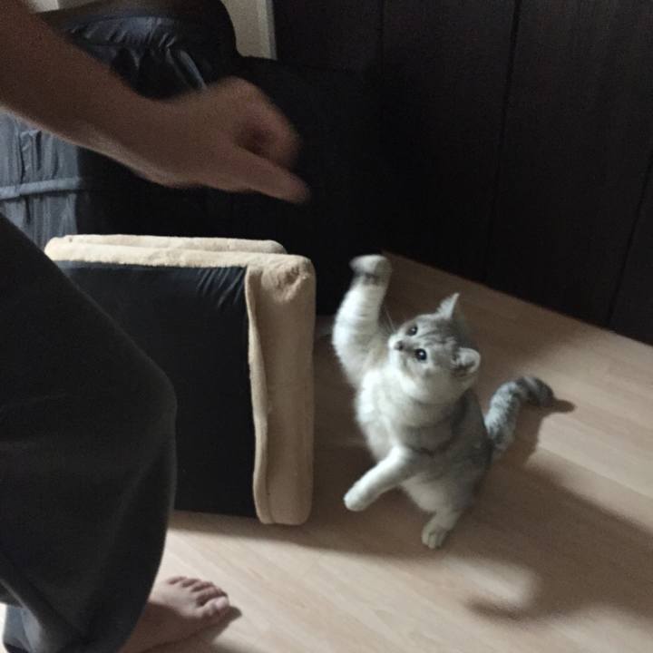 2afd99e8 1108 4c9d 9826 1fec442f4a79