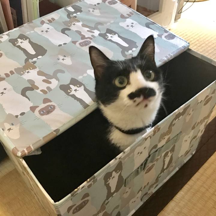 2afde6fa dec9 4f27 816c 44a0170a02b8