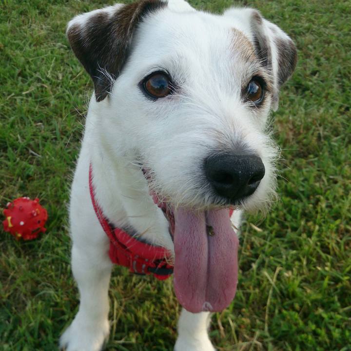 2afe6da0 5ab1 4044 aa78 31a067426ae2