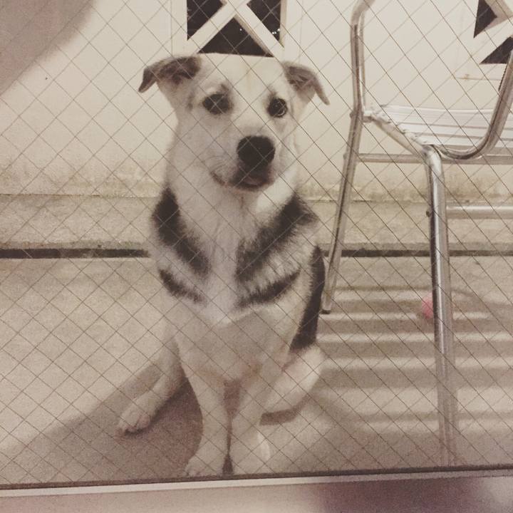 2afea013 0f63 4938 a784 7732bd8d771a