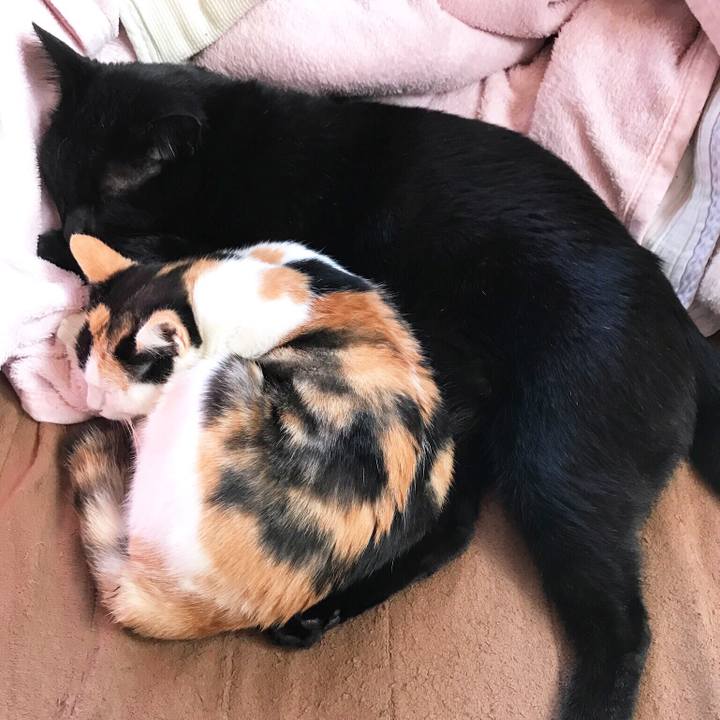 2afec145 6613 4208 aae2 cc14d04e8618