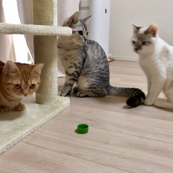 2affeea8 02a3 4332 8657 b2f6cc7b60db