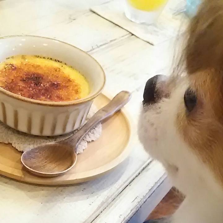 2b000df7 e90c 4088 978a 4a87f2bc1371