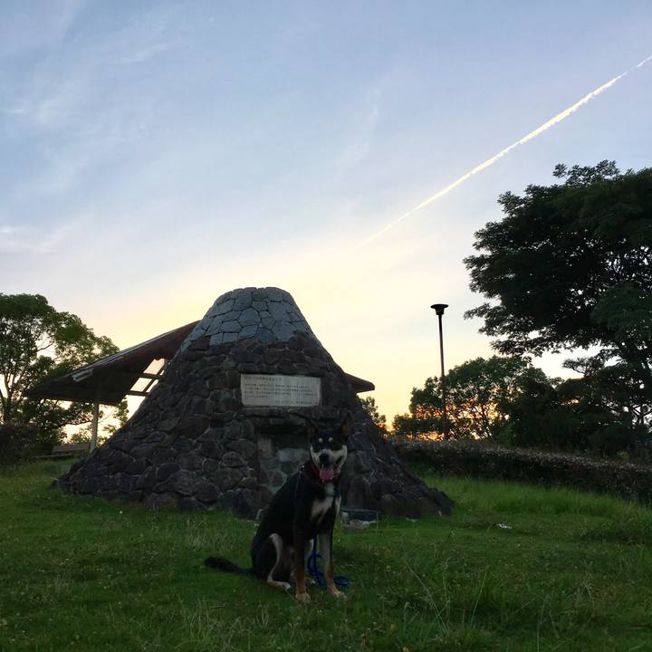 2b00de57 df73 4bc8 9fc4 3999114e6e06