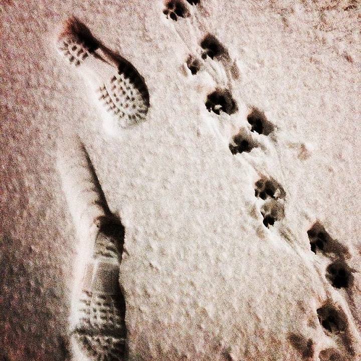 2b011f1a d305 4f1c a708 e2cabdb20930