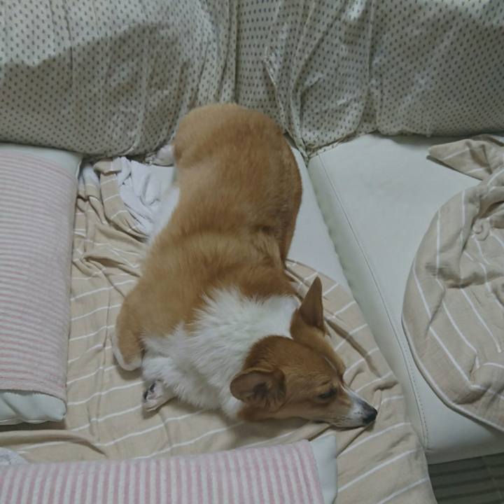 2b012d52 20fa 4248 a320 0e36c184eccf