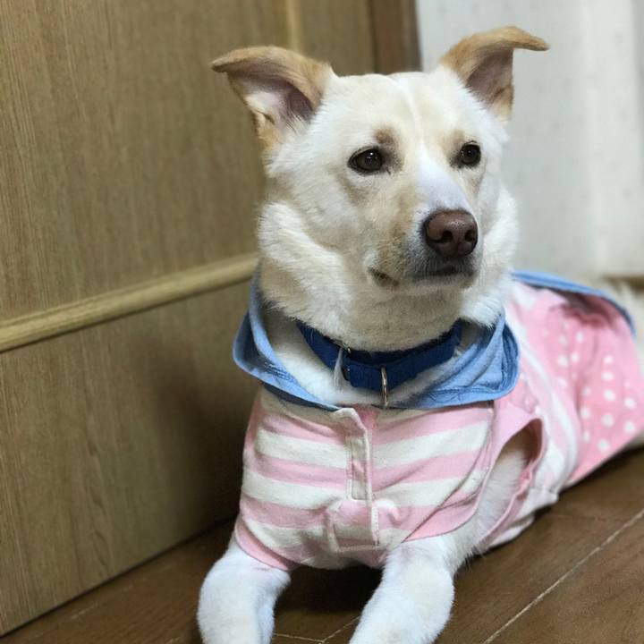 2b01452c 7f4f 4d8e af15 dda3e711ce05