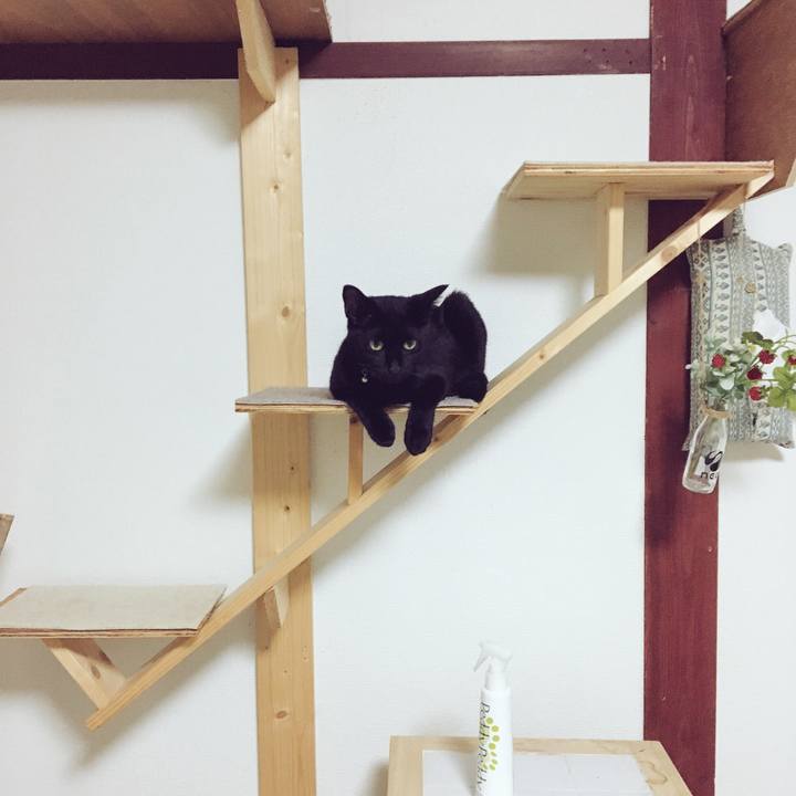 2b015b2b 8123 4caa 9f3c d971a10bd28a