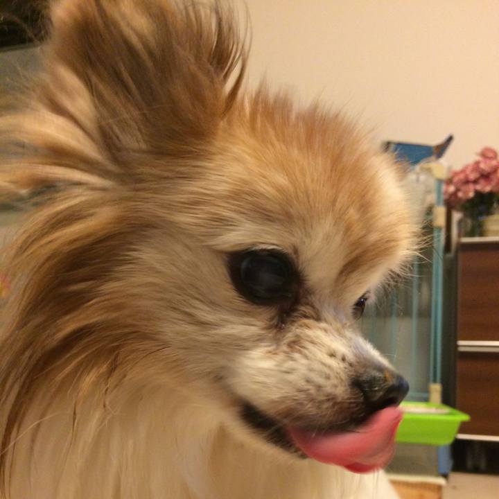 2b01cc48 a434 4c1c a34c 7d9b5aac980f