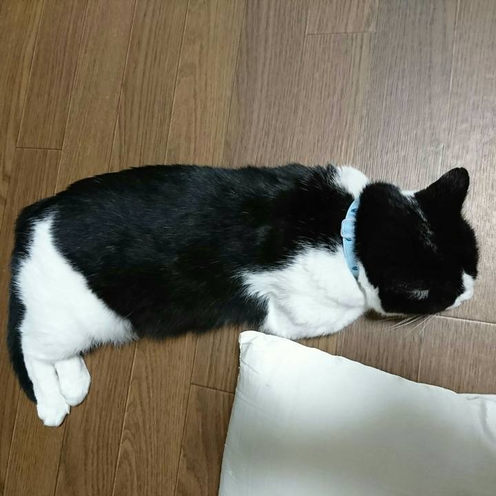 2b025e73 a9ed 48a1 ac4f e7353633778f