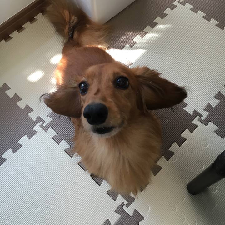 2b02c142 c449 44af a6c3 82ae350ec327