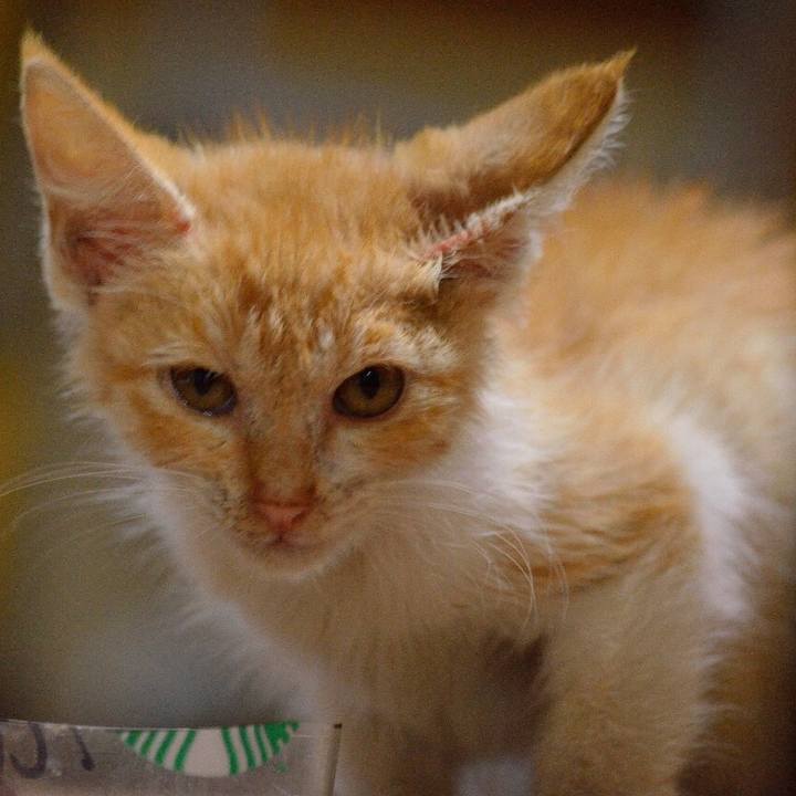 2b034da6 28aa 47fe 97ed 6212be9e4bc5