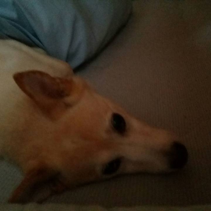 2b049c1b ef0a 49bc 83f8 6eff55b8058a