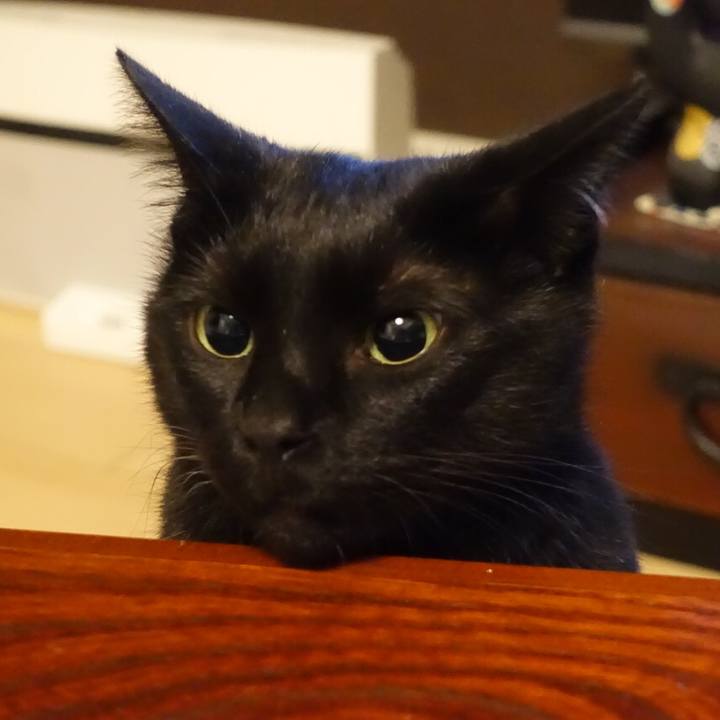 2b04c040 ed1f 4171 bef6 9ce51ade6706