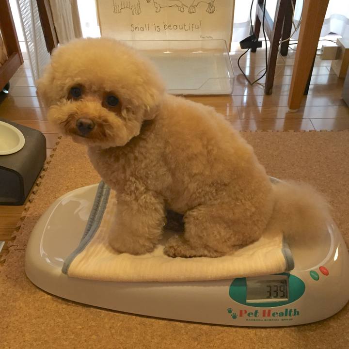 2b065932 4d5e 4de1 83a6 9bd0b88bf459