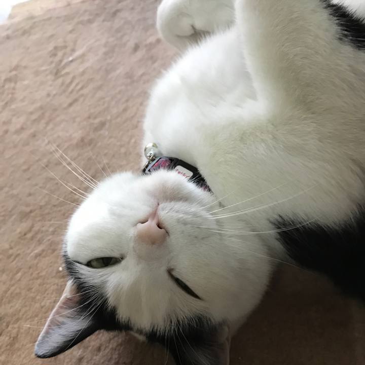 2b066c70 8e1d 4db8 a82e 5acbddb00008