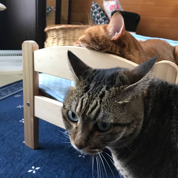 2b06b4b0 7b7b 4fb0 846c 67b6ea6ff047