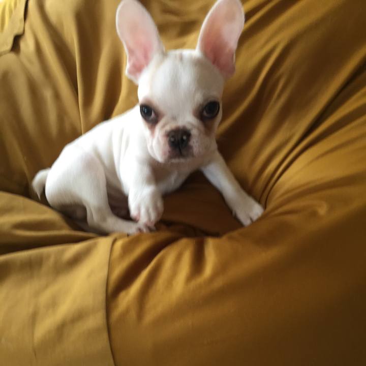 2b072040 300d 4454 9395 bcc15611eb7c