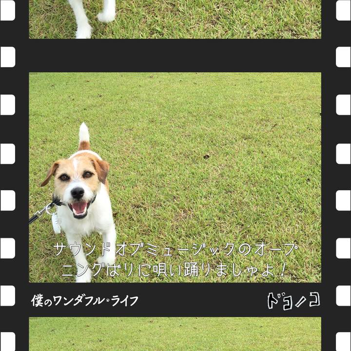 2b073ee1 54e7 4f59 908a 03f639389dea